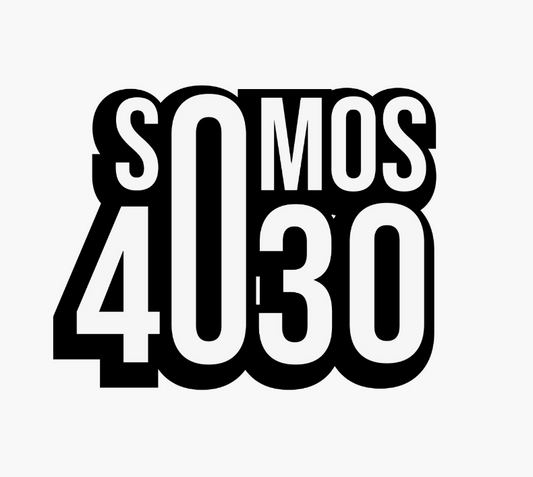 4035 Parche 2