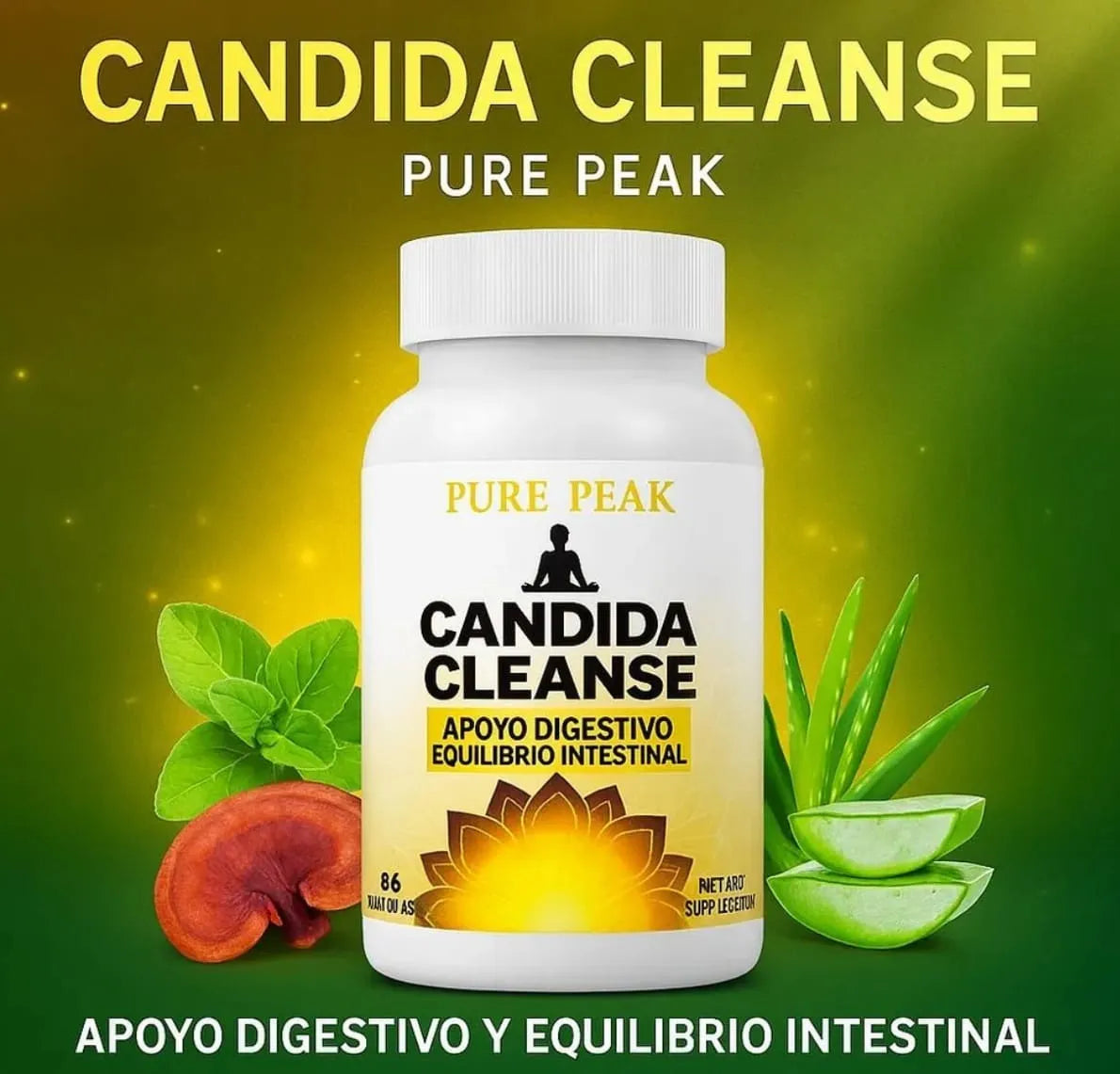Candida Cleanse X60