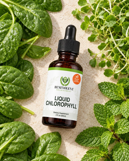 Clorofila líquida Benevolent Nourishment con sus ingredientes